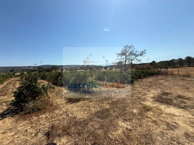 Quinta T2 para Venda em Quinta do Anjo Foto 37