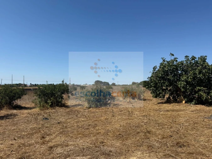 Quinta T2 para Venda em Quinta do Anjo Foto 29