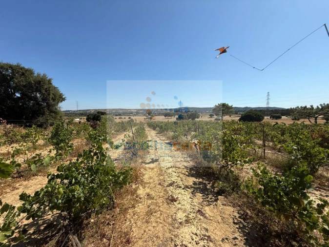 Quinta T2 para Venda em Quinta do Anjo Foto 31