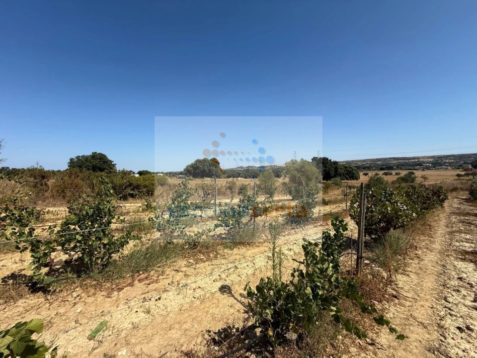 Quinta T2 para Venda em Quinta do Anjo Foto 41