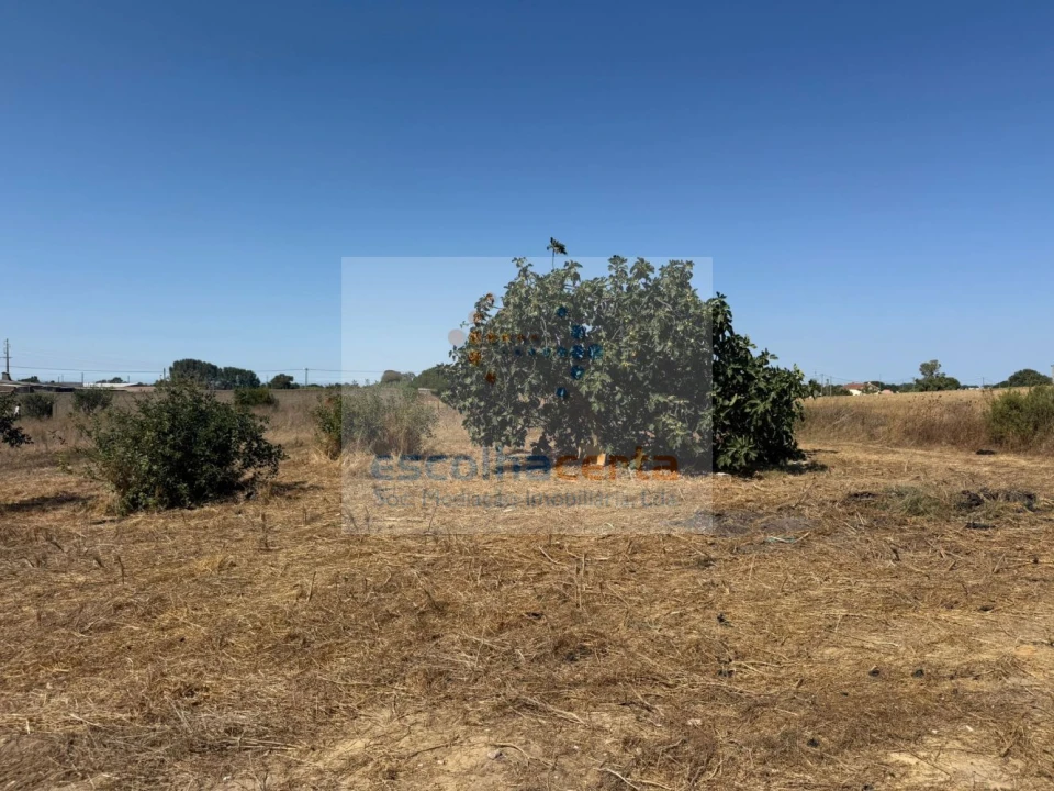 Quinta T2 para Venda em Quinta do Anjo Foto 39