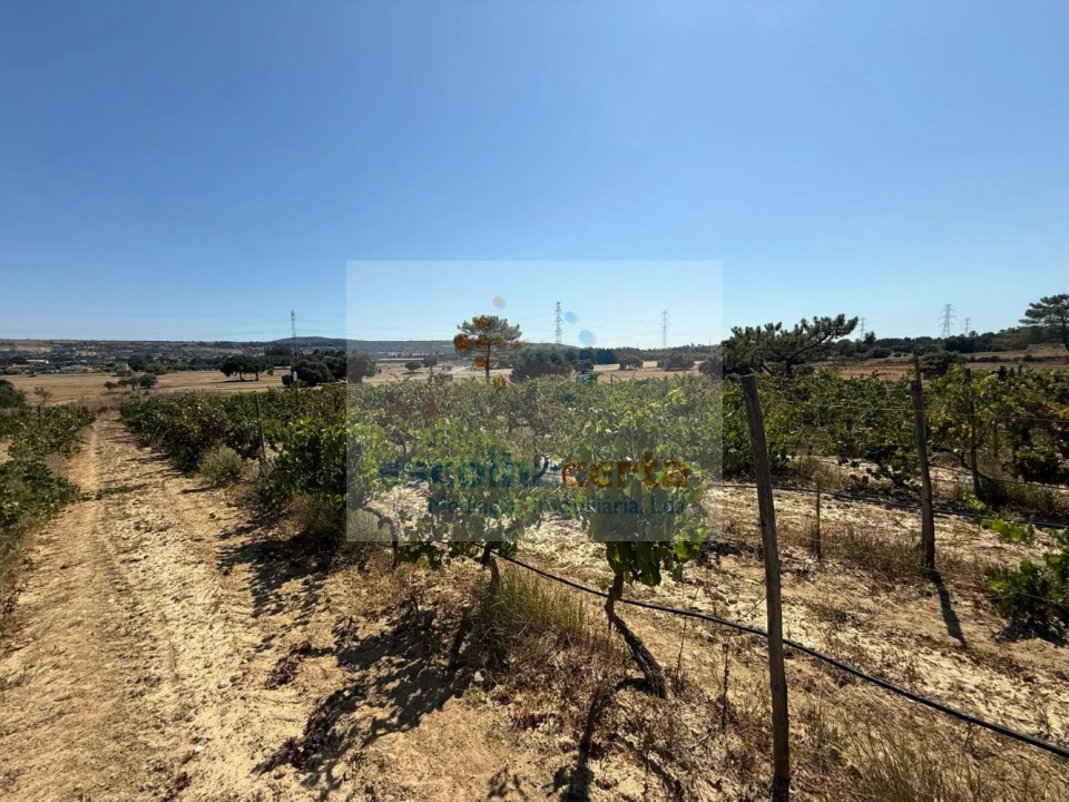Quinta T2 para Venda em Quinta do Anjo Foto 32