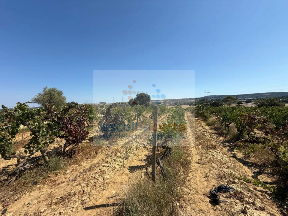 Quinta T2 para Venda em Quinta do Anjo Foto 38