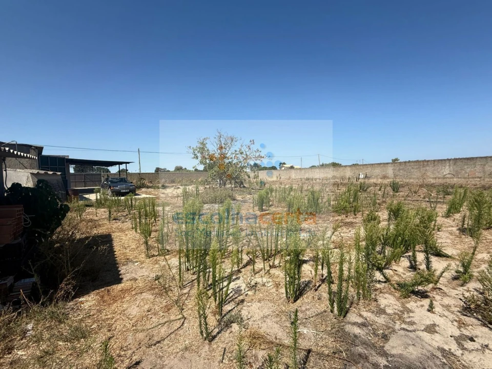 Quinta T2 para Venda em Quinta do Anjo Foto 30