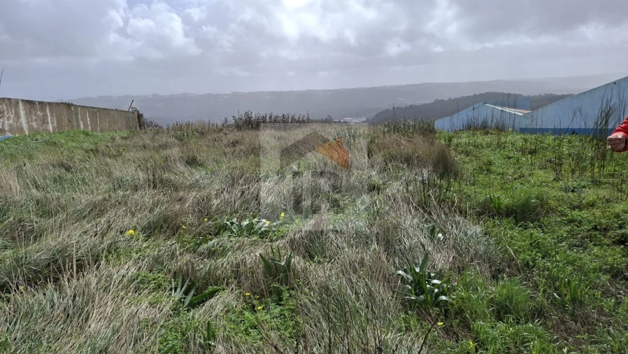Terreno para Venda em Famalicão Foto 10