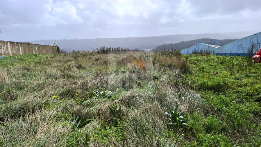 Terreno para Venda em Famalicão Foto 10