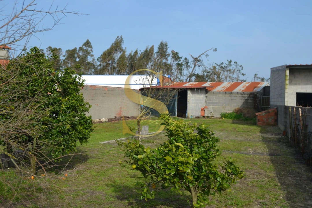 Moradia T4 para Venda em Monte Redondo e Carreira Foto 44