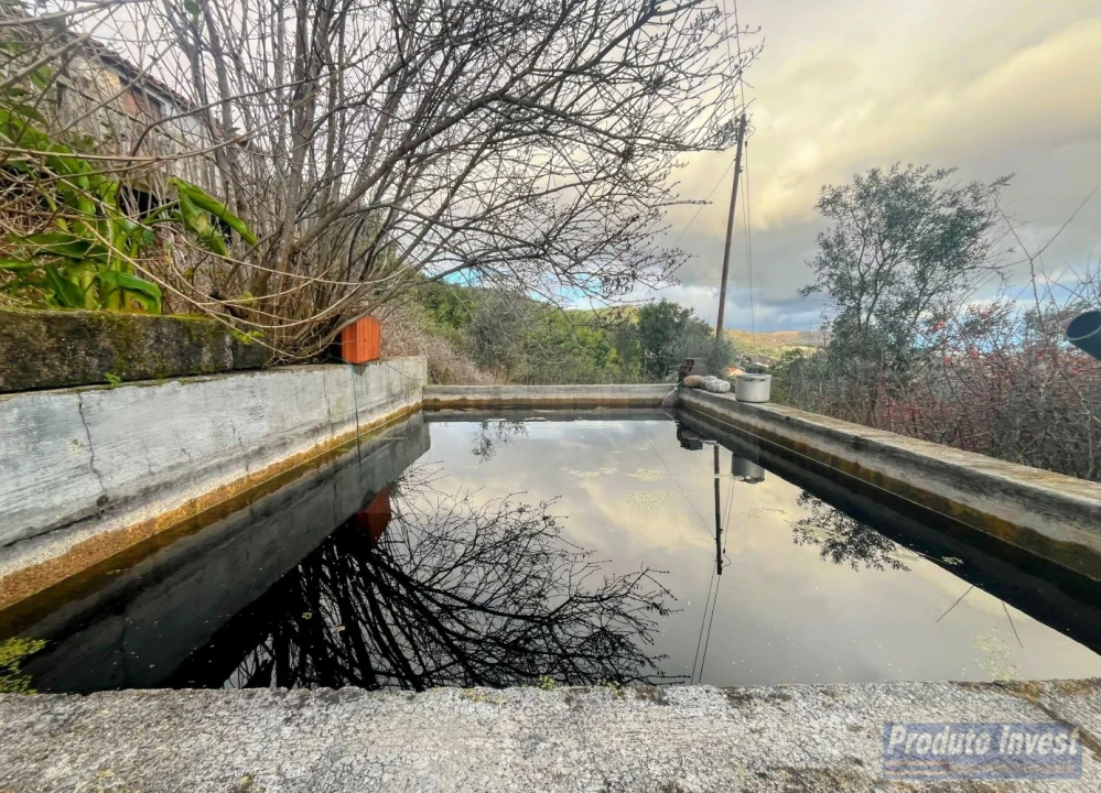 Quinta T3 para Venda em Vale de Prazeres e Mata da Rainha Foto 10