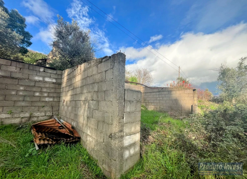 Quinta T3 para Venda em Vale de Prazeres e Mata da Rainha Foto 21