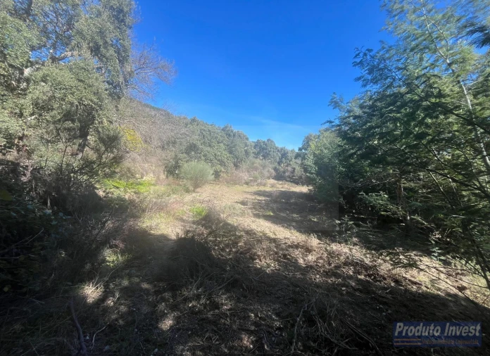 Quinta T3 para Venda em Vale de Prazeres e Mata da Rainha Foto 39