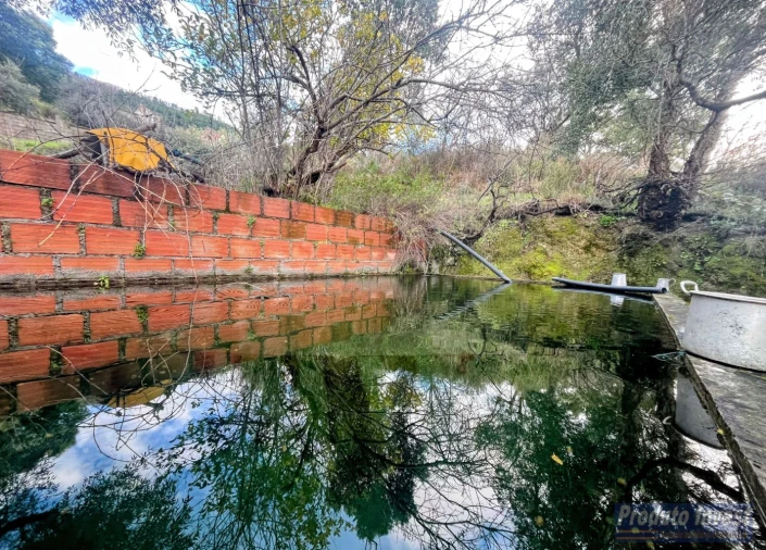 Quinta T3 para Venda em Vale de Prazeres e Mata da Rainha Foto 5