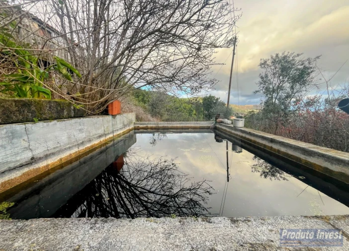 Quinta T3 para Venda em Vale de Prazeres e Mata da Rainha Foto 10