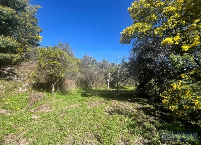 Quinta T3 para Venda em Vale de Prazeres e Mata da Rainha Foto 22