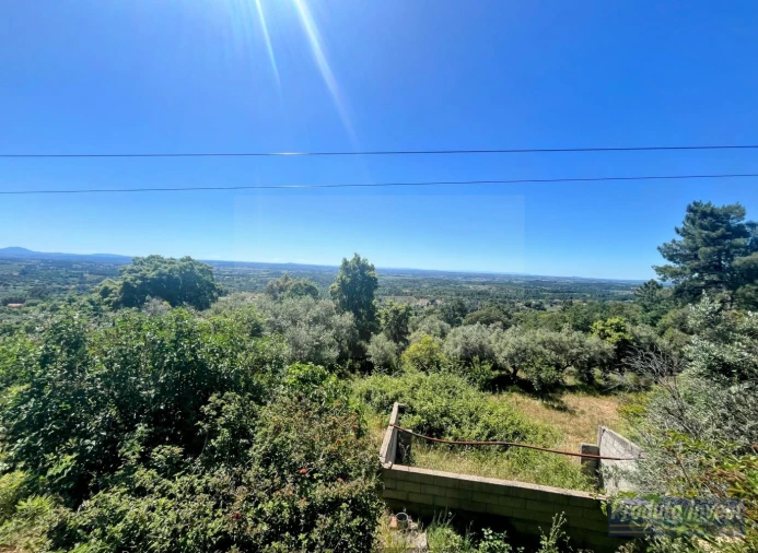 Quinta T3 para Venda em Vale de Prazeres e Mata da Rainha Foto 29