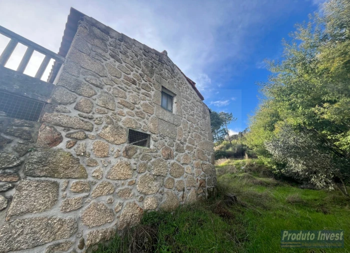 Quinta T3 para Venda em Vale de Prazeres e Mata da Rainha Foto 4