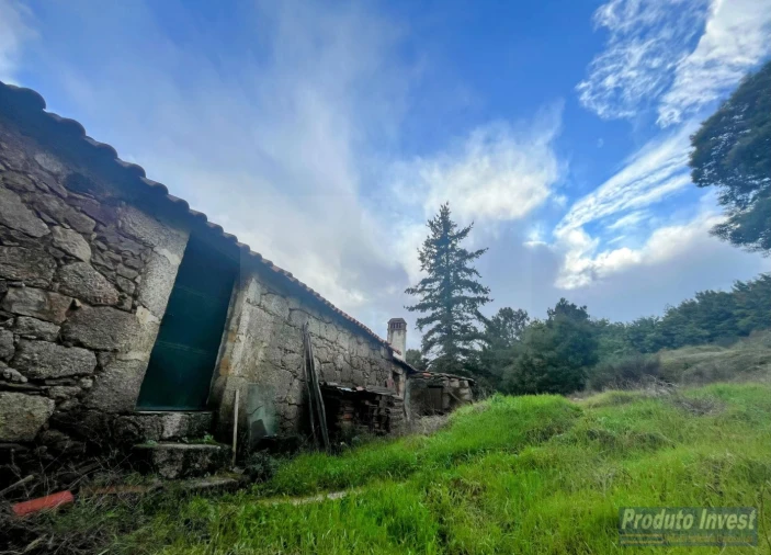 Quinta T3 para Venda em Vale de Prazeres e Mata da Rainha Foto 10