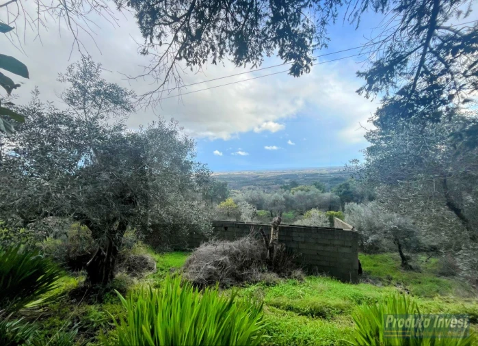Quinta T3 para Venda em Vale de Prazeres e Mata da Rainha Foto 20