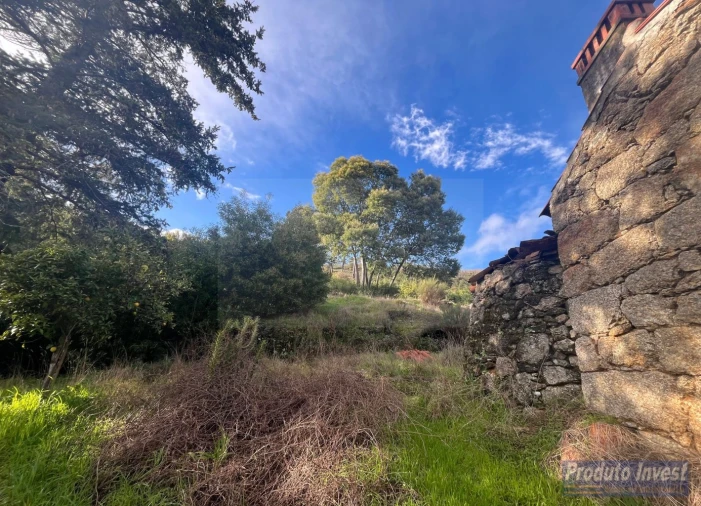 Quinta T3 para Venda em Vale de Prazeres e Mata da Rainha Foto 16