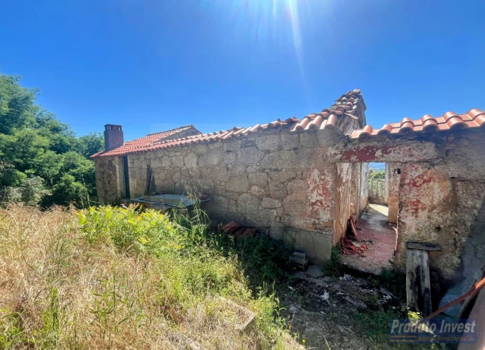 Quinta T3 para Venda em Vale de Prazeres e Mata da Rainha Foto 24