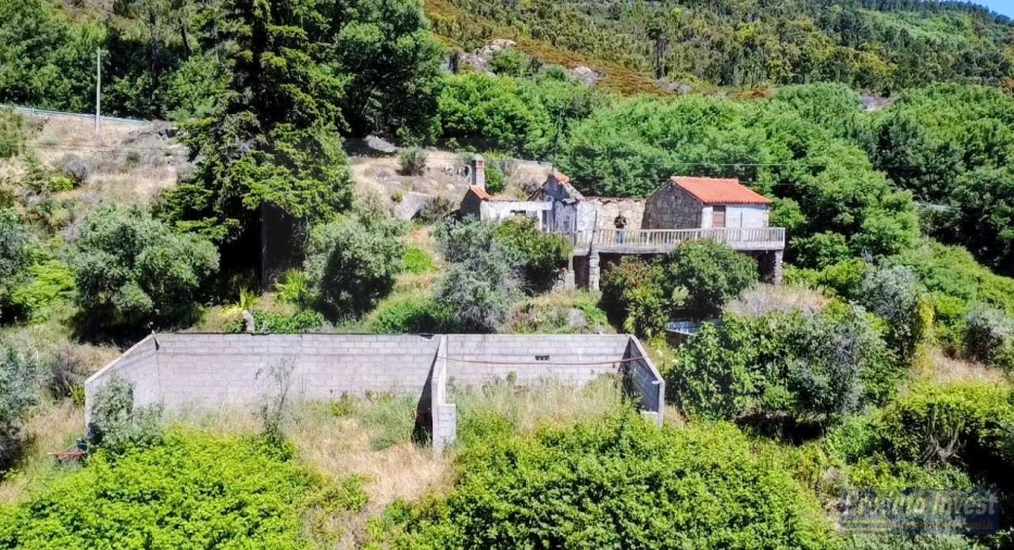 Quinta T3 para Venda em Vale de Prazeres e Mata da Rainha Foto 13
