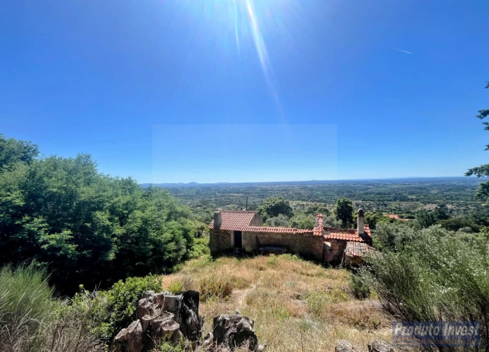 Quinta T3 para Venda em Vale de Prazeres e Mata da Rainha Foto 23