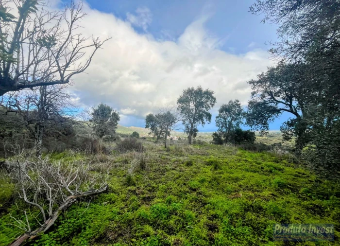 Quinta T3 para Venda em Vale de Prazeres e Mata da Rainha Foto 27