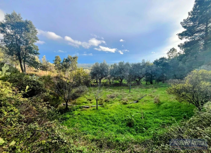 Quinta T3 para Venda em Vale de Prazeres e Mata da Rainha Foto 22