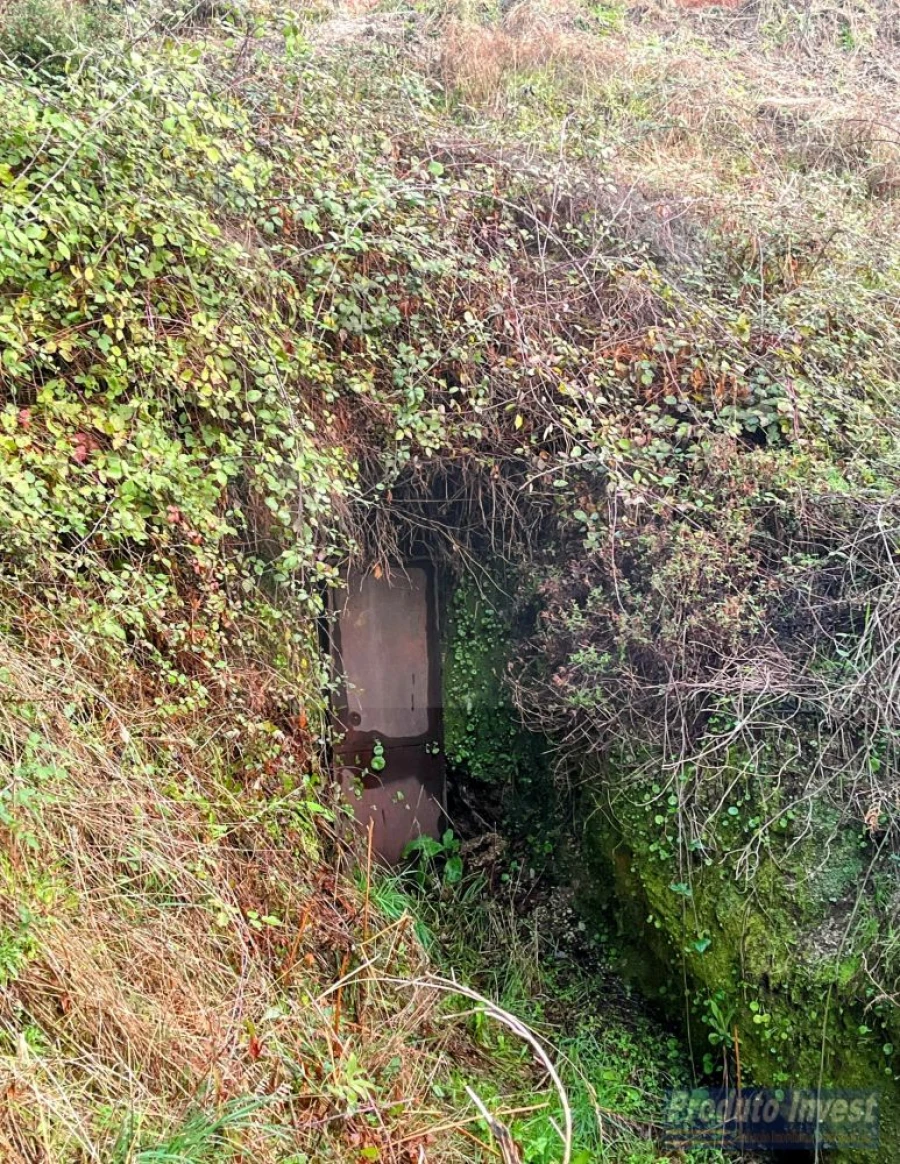 Quinta T3 para Venda em Vale de Prazeres e Mata da Rainha Foto 35