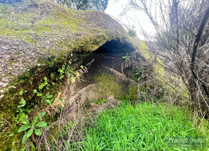 Quinta T3 para Venda em Vale de Prazeres e Mata da Rainha Foto 21