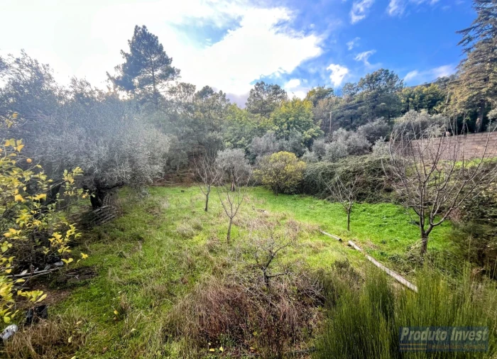 Quinta T3 para Venda em Vale de Prazeres e Mata da Rainha Foto 23