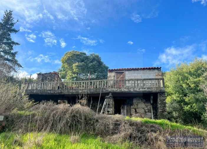 Quinta T3 para Venda em Vale de Prazeres e Mata da Rainha Foto 19