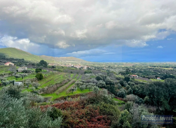 Quinta T3 para Venda em Vale de Prazeres e Mata da Rainha Foto 29