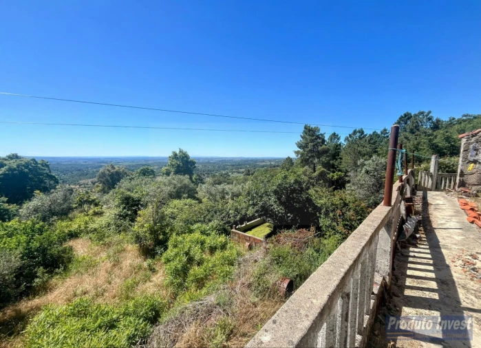 Quinta T3 para Venda em Vale de Prazeres e Mata da Rainha Foto 8