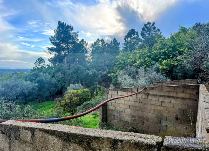 Quinta T3 para Venda em Vale de Prazeres e Mata da Rainha Foto 17
