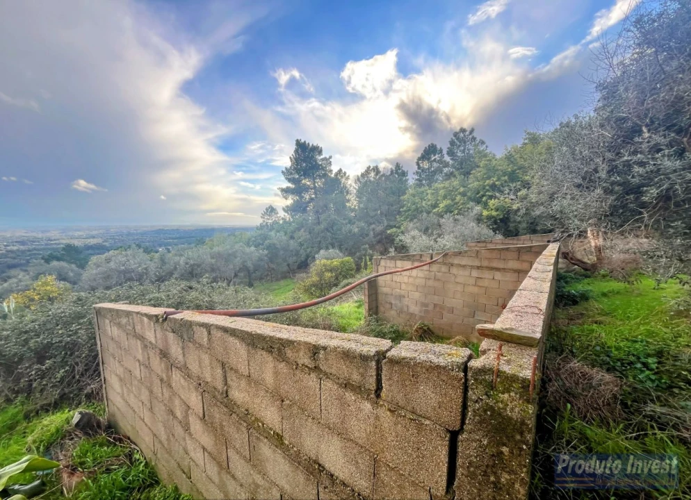 Quinta T3 para Venda em Vale de Prazeres e Mata da Rainha Foto 7