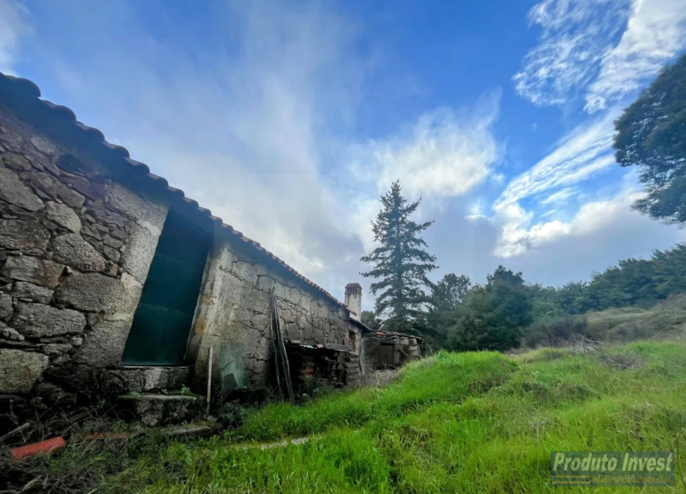 Quinta T3 para Venda em Vale de Prazeres e Mata da Rainha Foto 10