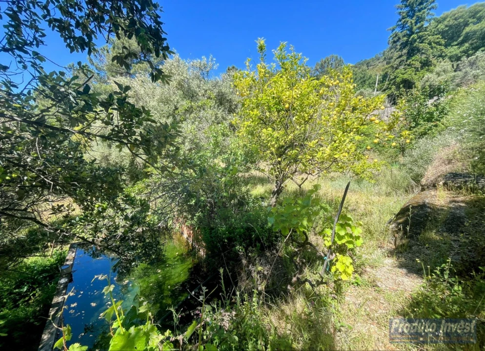 Quinta T3 para Venda em Vale de Prazeres e Mata da Rainha Foto 45