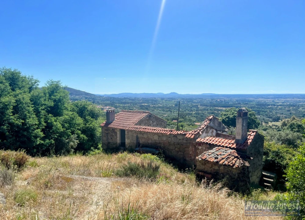 Quinta T3 para Venda em Vale de Prazeres e Mata da Rainha Foto 1