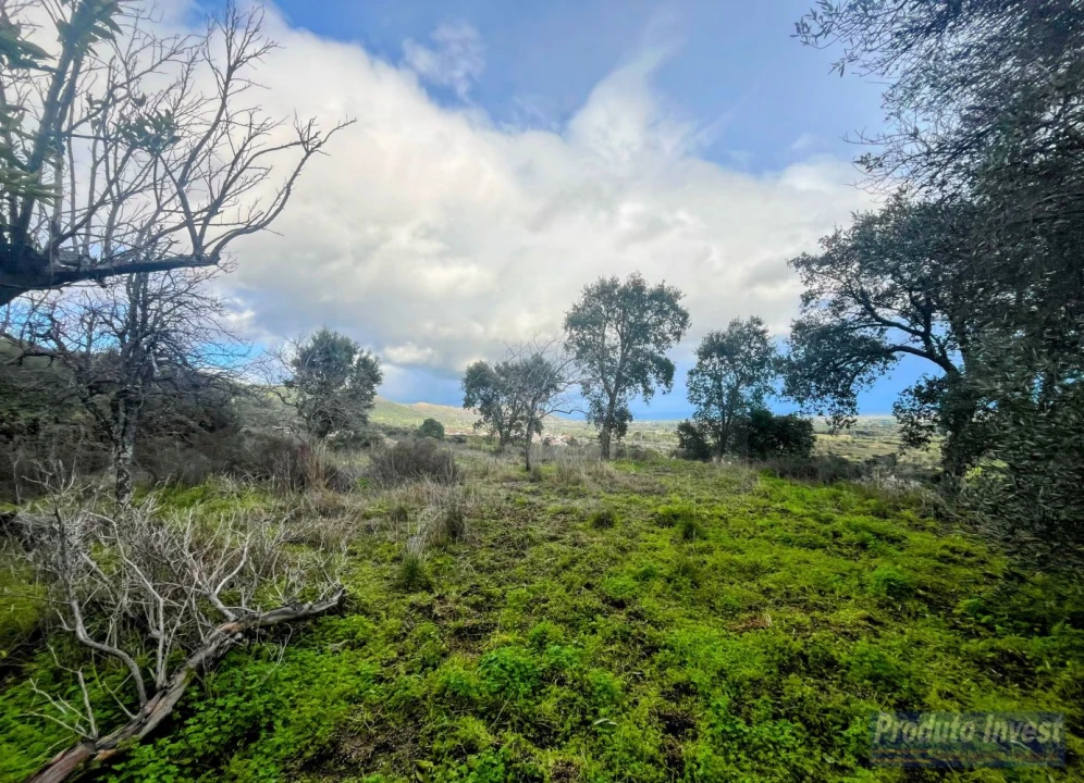 Quinta T3 para Venda em Vale de Prazeres e Mata da Rainha Foto 27