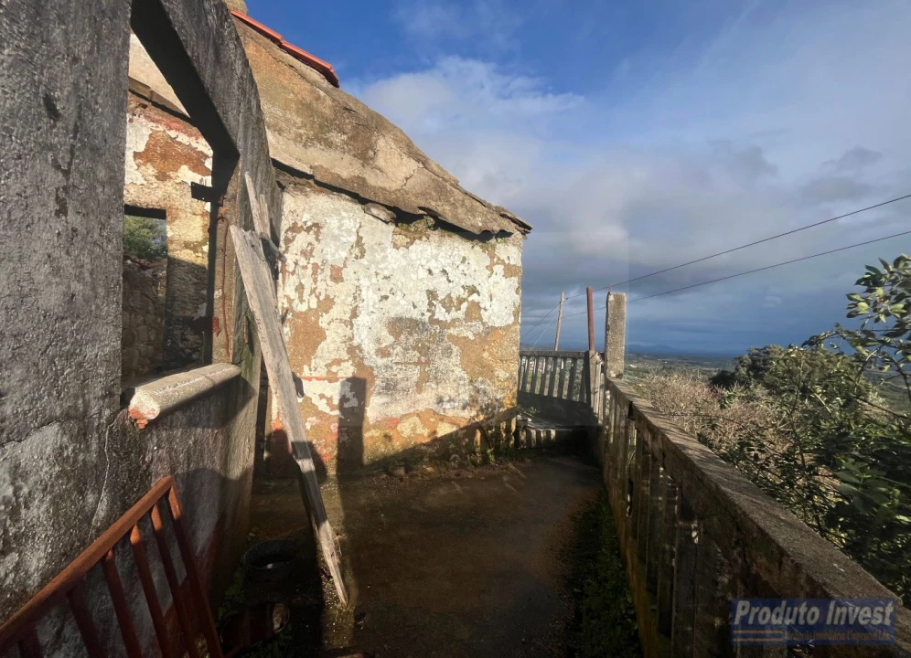 Quinta T3 para Venda em Vale de Prazeres e Mata da Rainha Foto 12