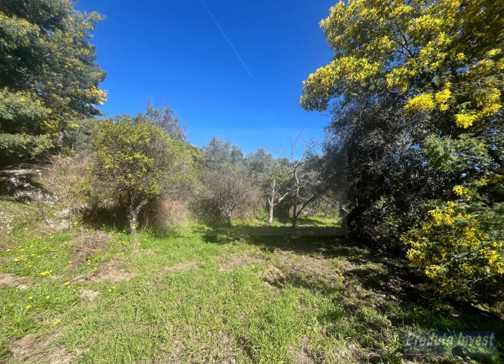 Quinta T3 para Venda em Vale de Prazeres e Mata da Rainha Foto 47
