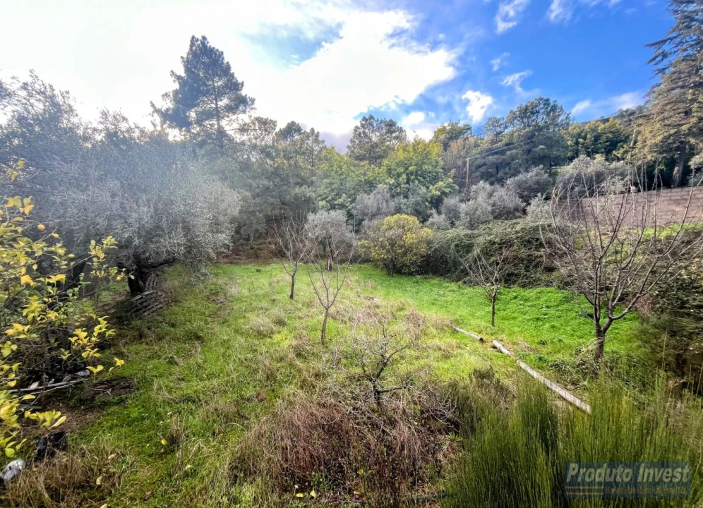 Quinta T3 para Venda em Vale de Prazeres e Mata da Rainha Foto 23