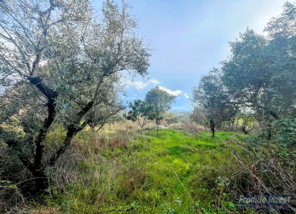 Quinta T3 para Venda em Vale de Prazeres e Mata da Rainha Foto 20