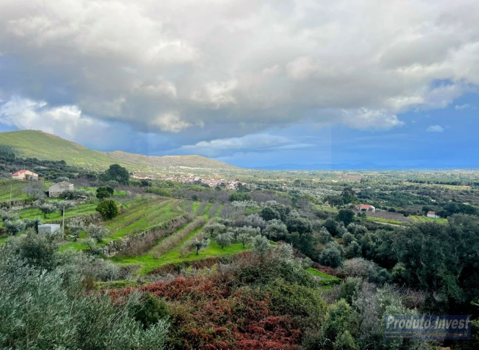 Quinta T3 para Venda em Vale de Prazeres e Mata da Rainha Foto 29