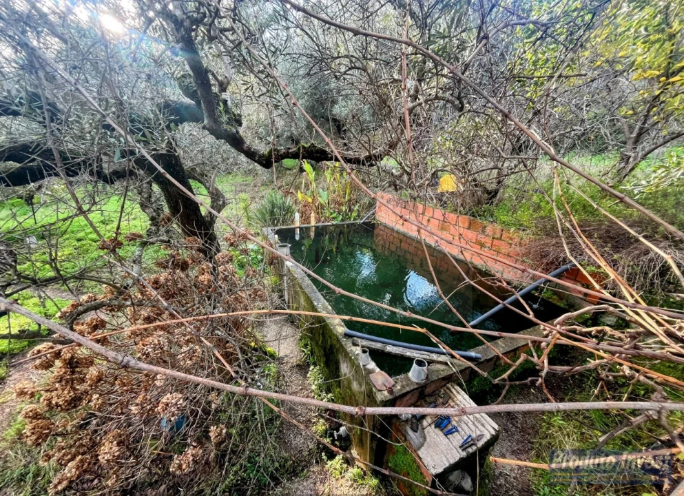 Quinta T3 para Venda em Vale de Prazeres e Mata da Rainha Foto 24
