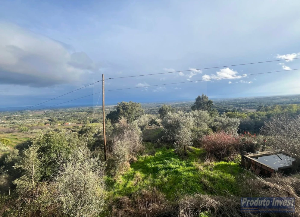 Quinta T3 para Venda em Vale de Prazeres e Mata da Rainha Foto 15