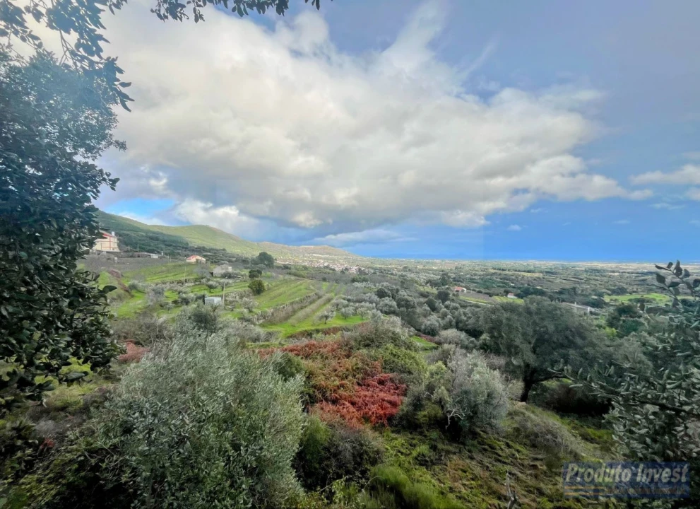 Quinta T3 para Venda em Vale de Prazeres e Mata da Rainha Foto 28