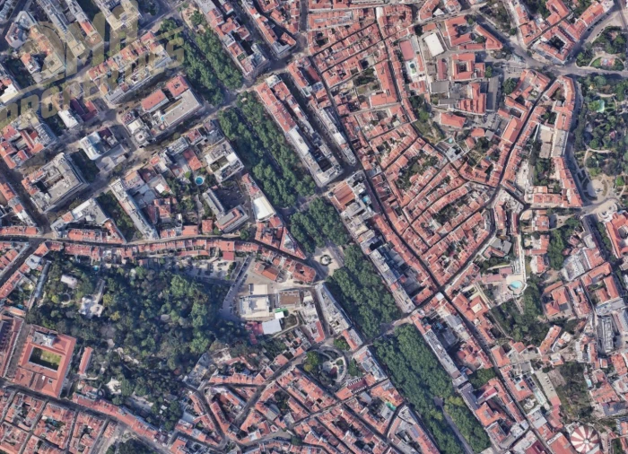 Loja para Arrendamento em Santo António Foto 3