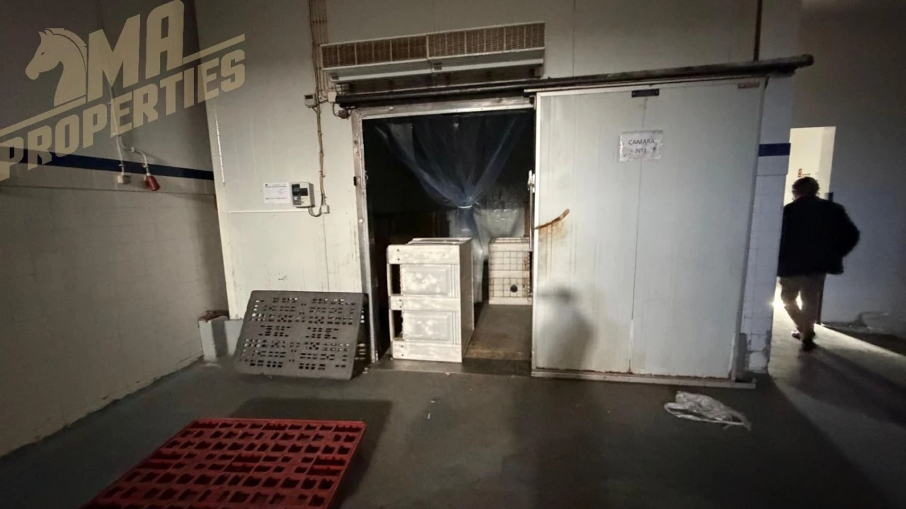 Loja para Arrendamento em Peniche Foto 8