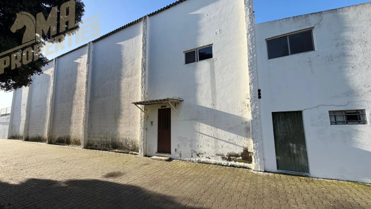 Loja para Arrendamento em Peniche Foto 2